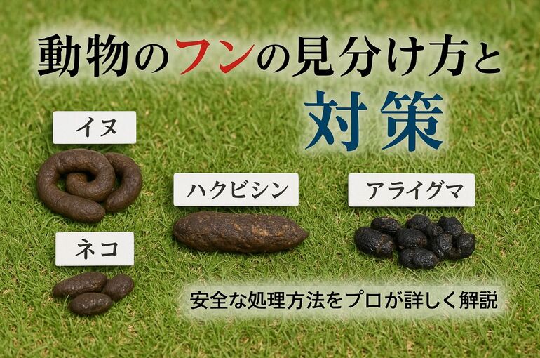 18動物のフン 見分け方