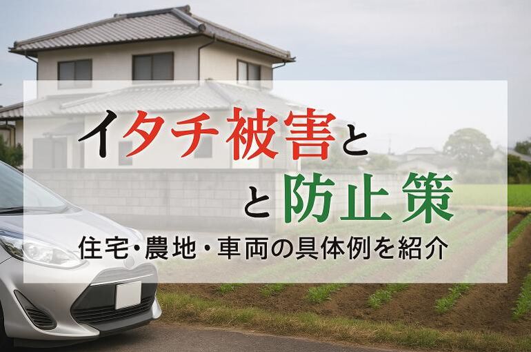 06 イタチ 被害