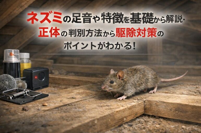 24 ネズミ 足音