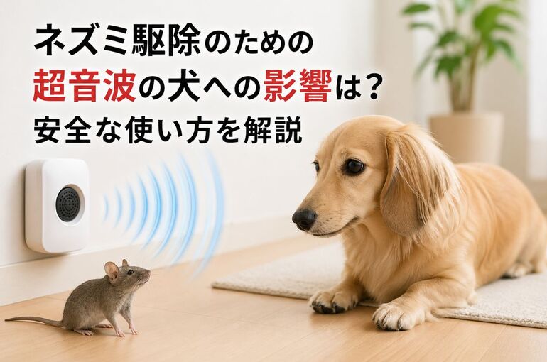 06 ネズミ駆除 超音波 犬への影響