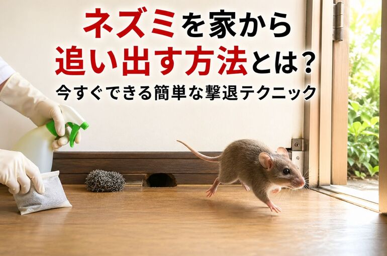 24 ネズミを家から追い出す方法