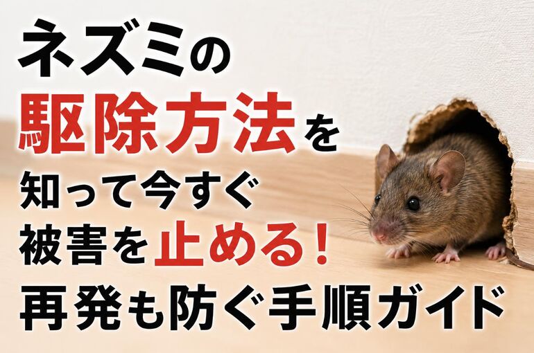 ネズミの駆除方法