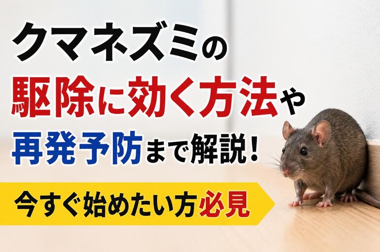クマネズミ 駆除
