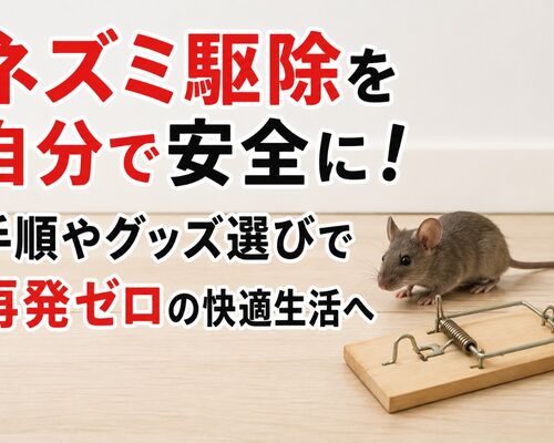 ネズミ駆除 自分で