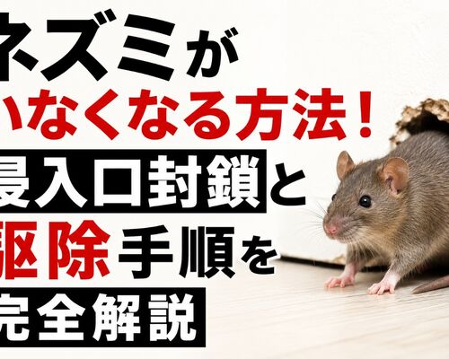 ネズミがいなくなる方法