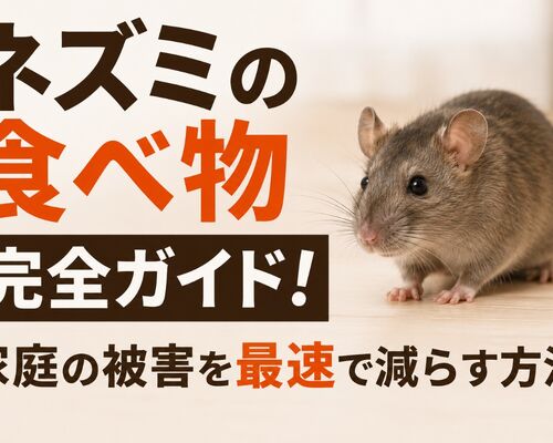 ネズミ 食べ物