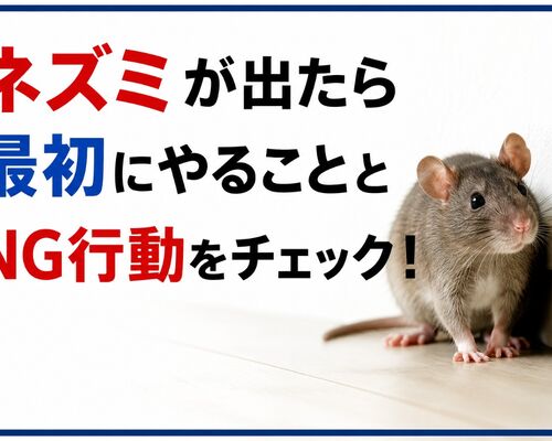 ネズミが出たら