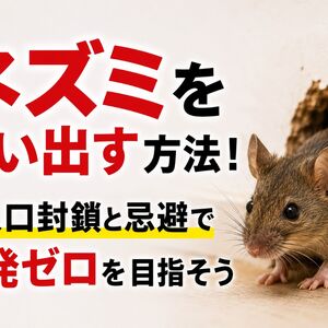 ネズミを追い出す方法