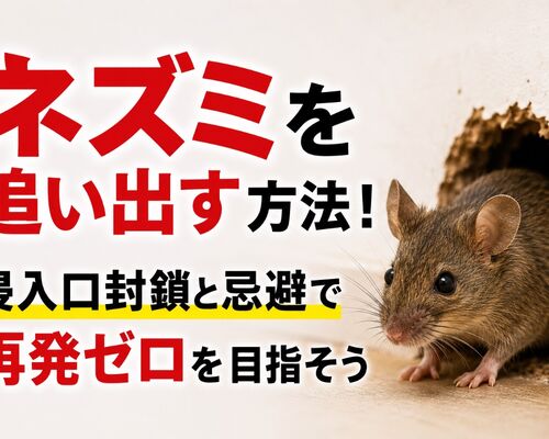 ネズミを追い出す方法