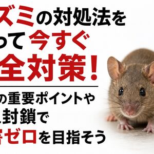 ネズミ 対処法
