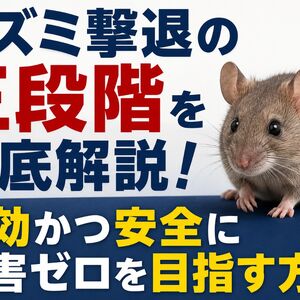 ネズミ撃退