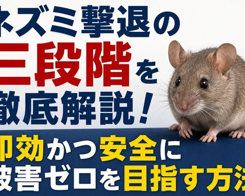 ネズミ撃退