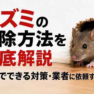 ネズミの駆除