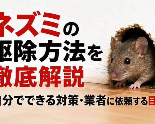 ネズミの駆除