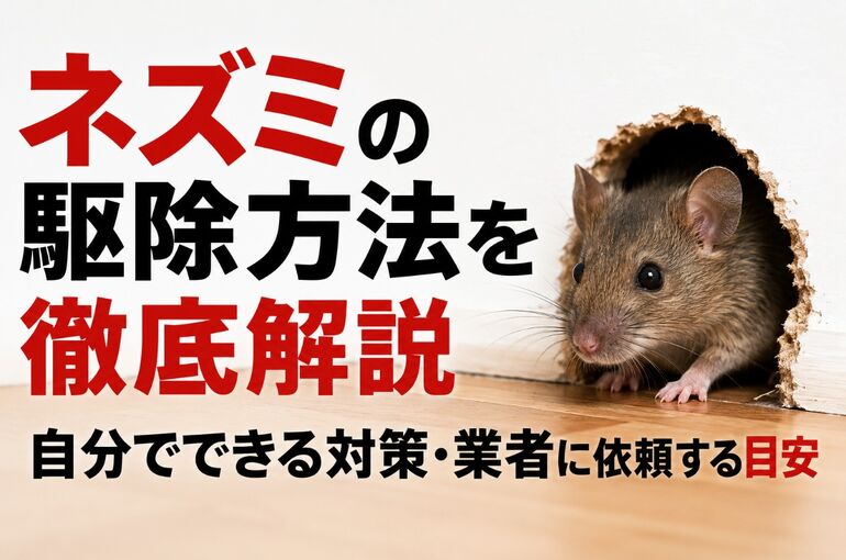 ネズミの駆除