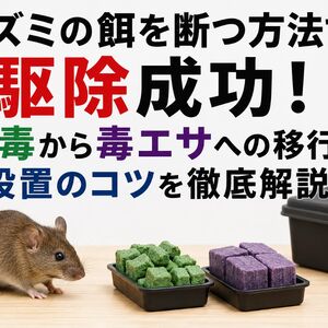 ネズミの餌