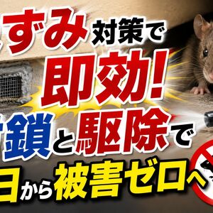 ねずみ 対策
