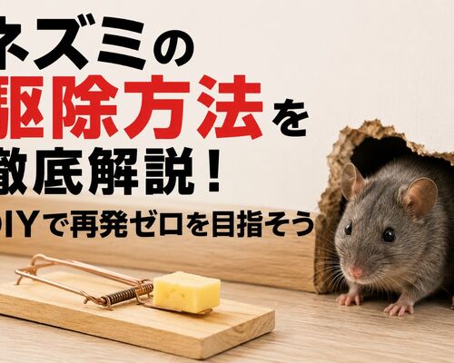 ネズミ 駆除 方法