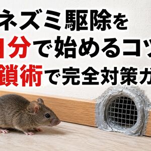 ネズミ 駆除 自分で