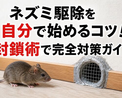 ネズミ 駆除 自分で