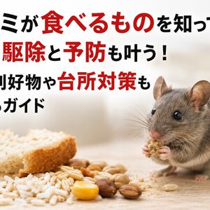 ネズミが食べるもの